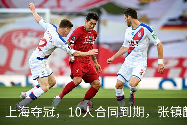 上海夺冠，10人合同到期，张镇麟李弘权在列，4人或离队